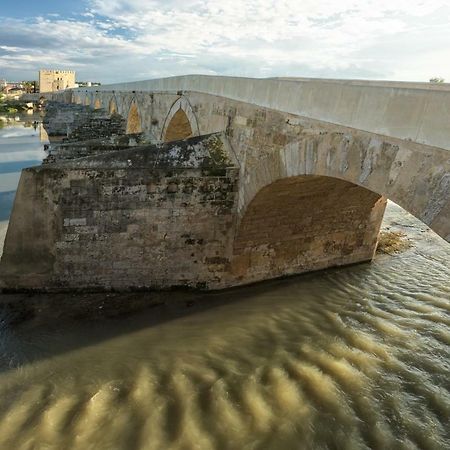 Casa Luz Cordoba Apartman Kültér fotó